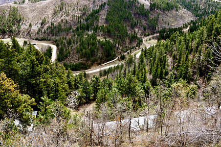 戴德伍德山和道路