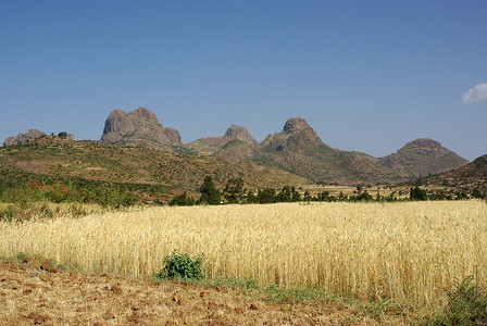 埃塞俄比亚的风景