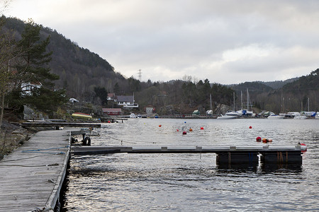 风倒林木摄影照片_挪威峡湾的小人行桥