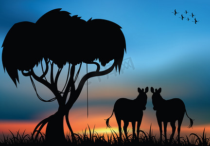 非洲大草原上的斑马