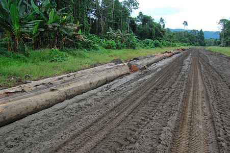 新几内亚摄影照片_巴布亚新几内亚内陆运输路