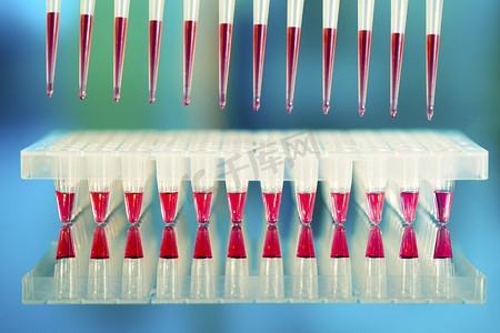 孔板摄影照片_DNA PCR 扩增工具：96 孔板和自动