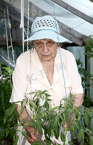 灌木丛温室里的老妇人
