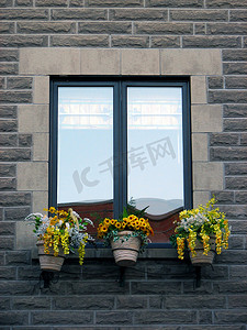 房地产绽放摄影照片_开满黄色花朵的窗户