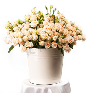味美价廉摄影照片_一束奶油色的玫瑰，放在白色的桶里