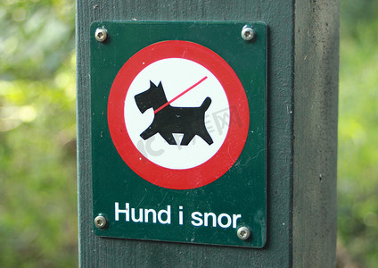 狗绳摄影照片_森林禁止不拴狗绳的标志