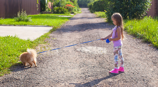 小女孩用皮带牵着她的狗散步