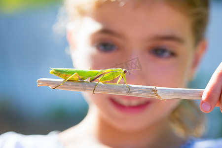 博物学家生物学家小女孩看着螳螂