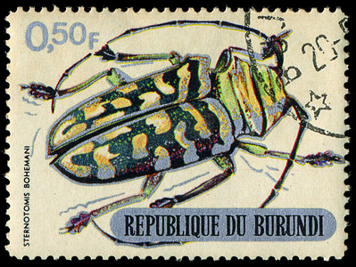 布隆迪共和国-大约 1970 年：在布隆迪共和国印刷，显示甲虫，大约 1970 年。