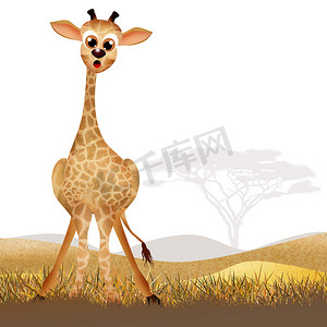 草原旅游摄影照片_长颈鹿卡通