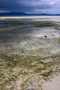 印度洋海藻海滩天空