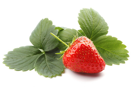 新鲜的草莓摄影照片_带叶子的草莓