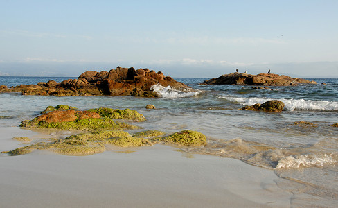 梅兰竹菊绘画摄影照片_科西嘉岛的野生海滩