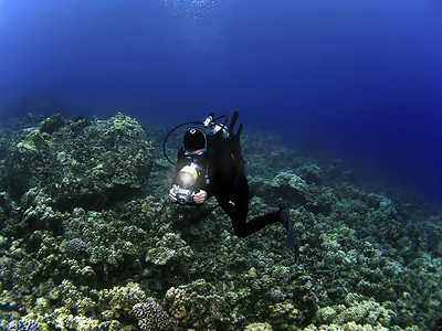夏威夷科纳水肺潜水女水下摄影师