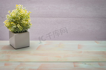 中式扁平化图标摄影照片_在一张木桌上的小装饰植物