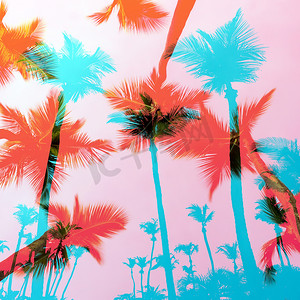 佛罗里达州的剪贴画摄影照片_异国情调的棕榈树蒙太奇