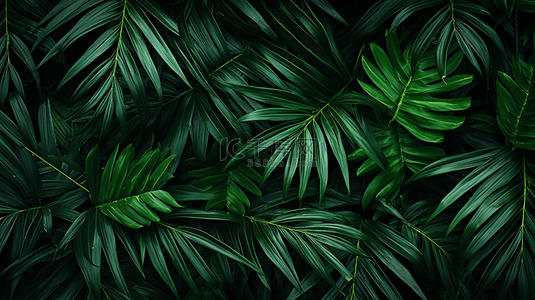 棕榈背景背景图片_底色上模糊的绿色棕榈叶子
