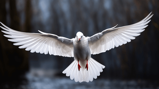 一只白色小鸟在空中展翅飞翔