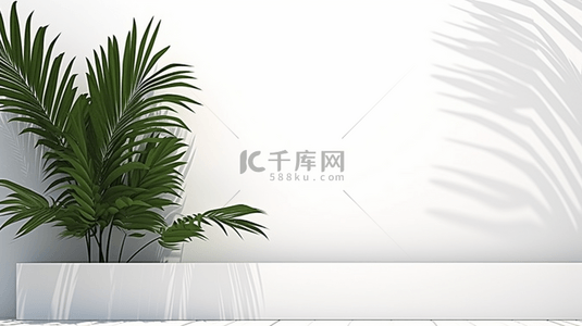 背景棕榈背景图片_产品背景与3D显示台和叶子阴影