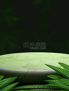 电商绿色背景图片_绿草一块空石头热带树叶背景8