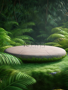 绿电商背景图片_绿草一块空石头热带树叶背景1