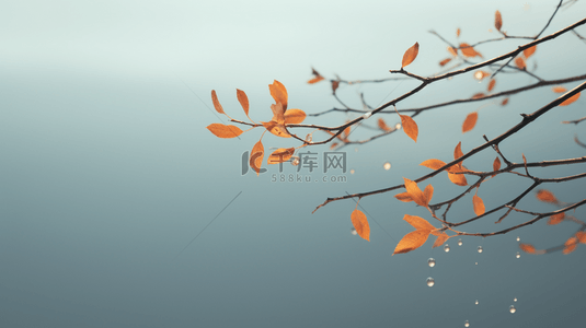 秋天枝叶蓝色背景