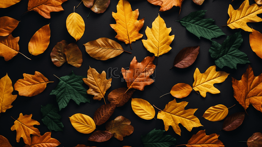 秋天背景图片_顶视秋叶构图，留白空间。