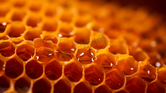 蜂巢的选择性聚焦摄影