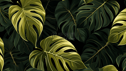 黑金植物背景图片_热带黑金蕉叶芋。