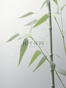 唯美小清新绿色竹子背景10
