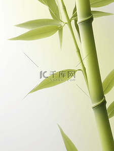 唯美小清新绿色竹子背景1