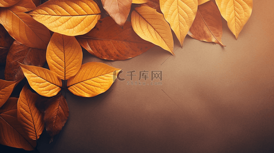 秋季黄色落叶背景图片_唯美秋季黄色树叶背景21