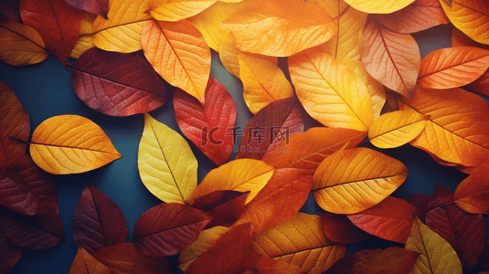 秋天落叶唯美秋季黄色树叶背景11