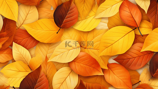 秋天黄色落叶背景图片_秋天落叶唯美秋季黄色树叶背景18