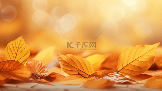秋季背景图片_秋天落叶唯美秋季黄色树叶背景13