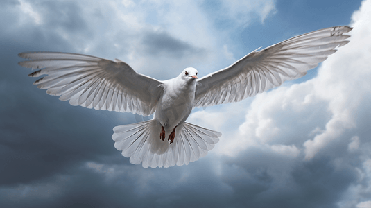 一只白色的鸟在多云的天空中飞翔