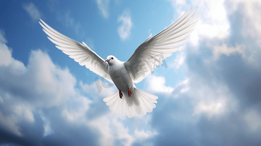 一只白色的鸟在多云的天空中飞翔