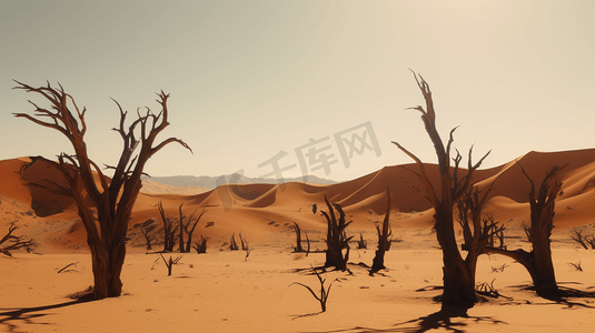 沙漠枯树摄影照片_沙漠中干枯的树林1