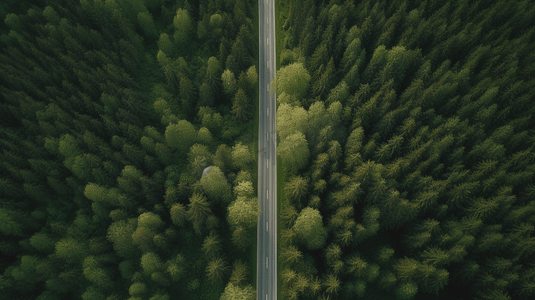 俯瞰森林摄影照片_俯瞰森林中央的道路