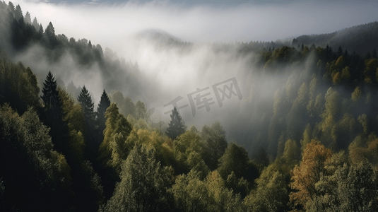 笼罩在浓雾中的森林2