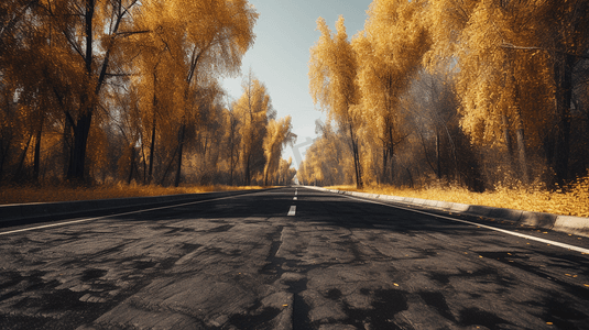 黑色摄影照片_白天黄树之间的黑色柏油路