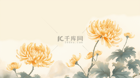 唯美金黄色菊花重阳节背景15