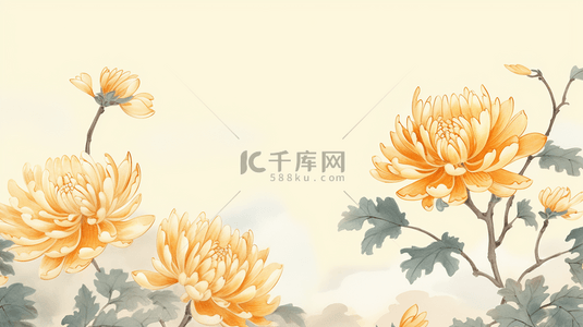 唯美金黄色菊花重阳节背景7