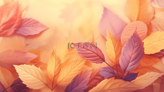 秋日唯美红色树叶背景10