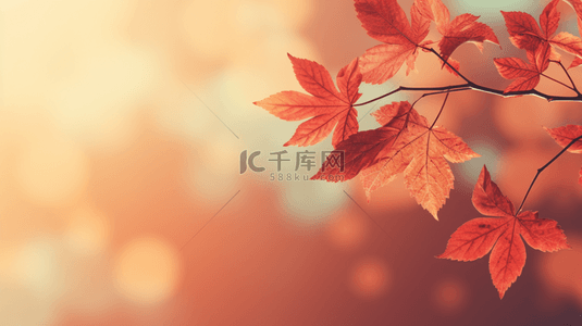 秋日唯美红色树叶背景11