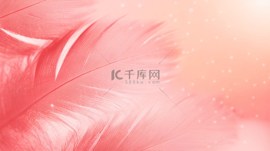 粉色鸟背景图片_时尚粉色柔和羽毛纹理背景5
