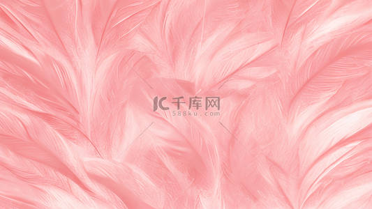 时尚粉色柔和羽毛纹理背景7
