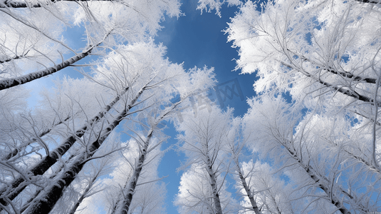 满头白雪摄影照片_冬日树挂雪景摄影