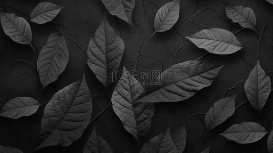 灰色树叶纹理背景图片_自然树叶在白色墙壁背景上产生的影子。