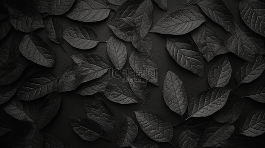 灰色树叶纹理背景图片_自然树叶在白色墙壁背景上产生的影子。